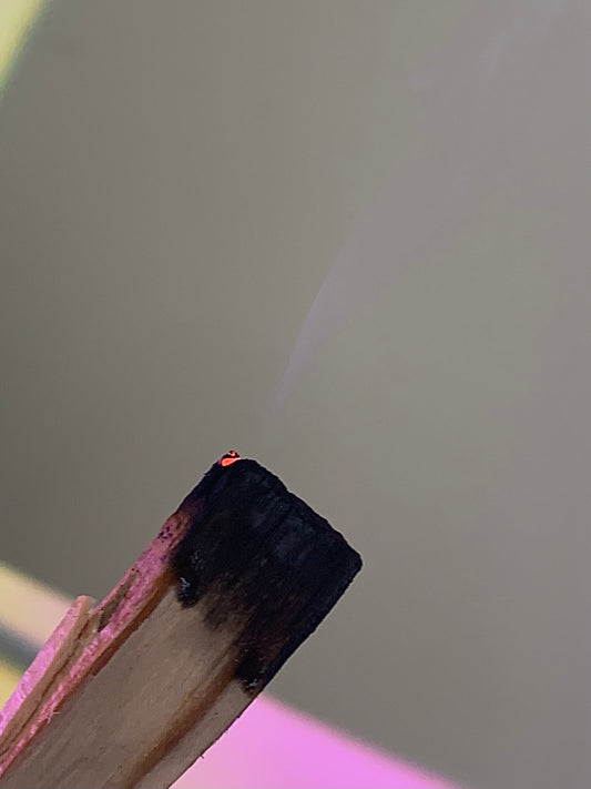 Fatwood (Pine) Stick